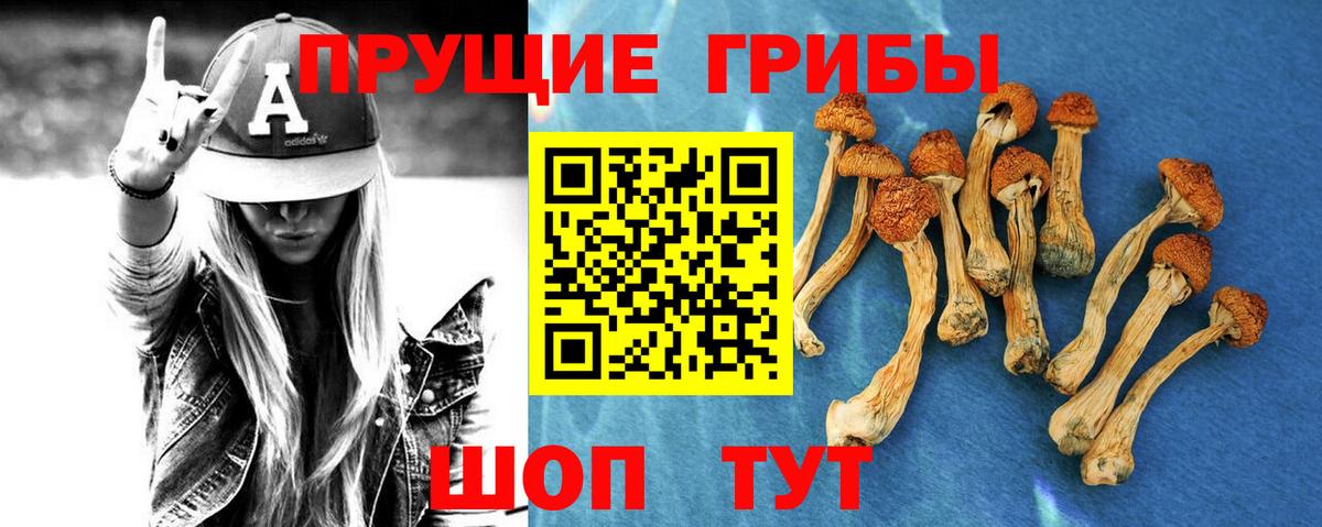 Семилуки  Псилоцибиновые грибы Cubensis  Вход с VPN  Псилоцибиновые грибы ЛСД 