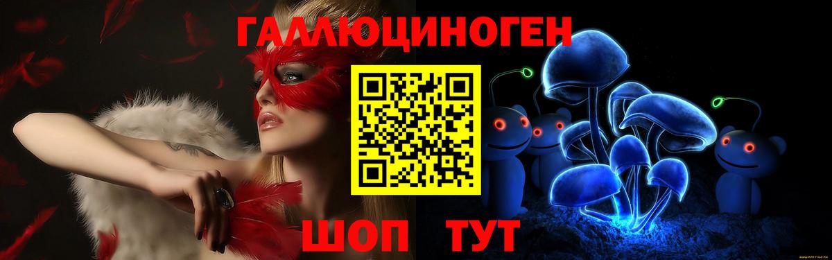Галлюциногенные грибы Psilocybine cubensis Семилуки